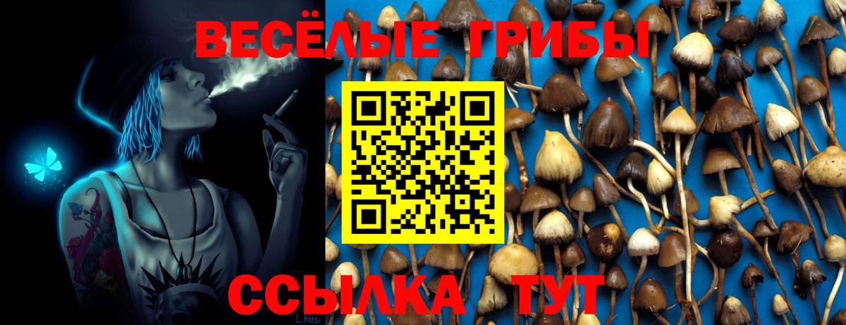 Галлюциногенные грибы мухоморы Карталы