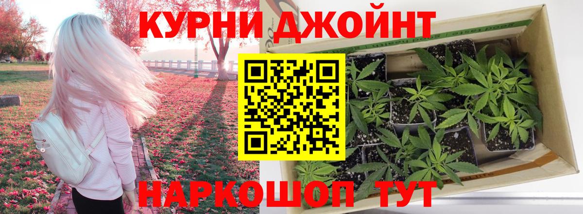 Бошки Шишки конопля Карталы